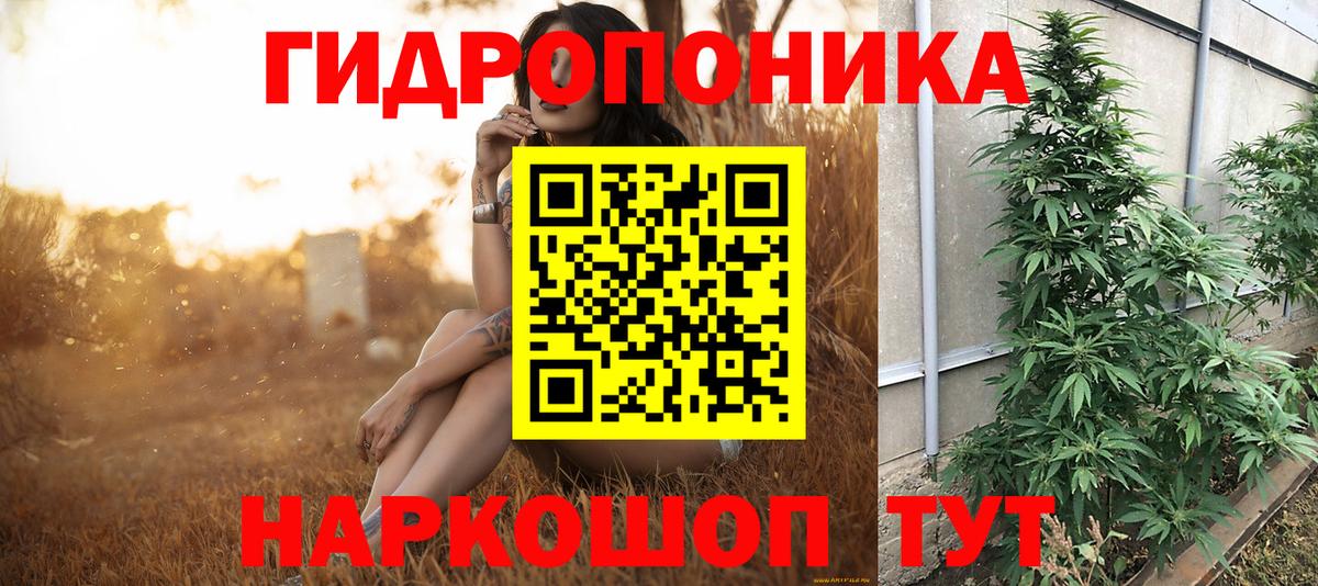 Заволжье  Шишки марихуана конопля  МАРИХУАНА марихуана  Вход с VPN 